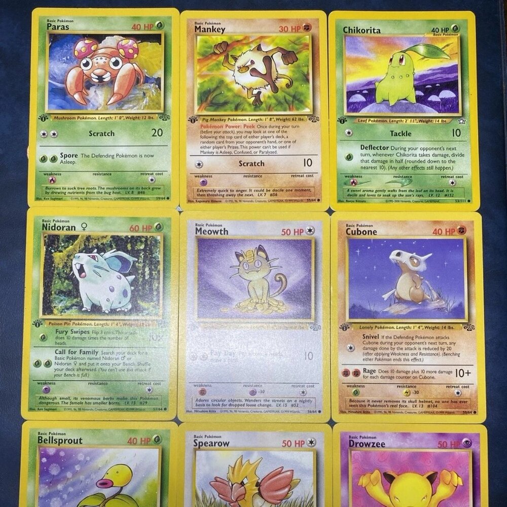 Pokémon 1st Edition Basic Lot – Jungle Neo Rocket (WotC)